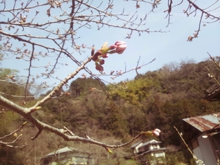 FxCam_1363483872204.jpg