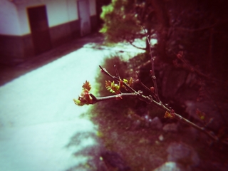 FxCam_1363483952074.jpg